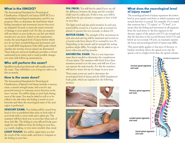 11.18.22 ISNCSCI Patient Brochure_Page_2 - American Spinal Injury ...