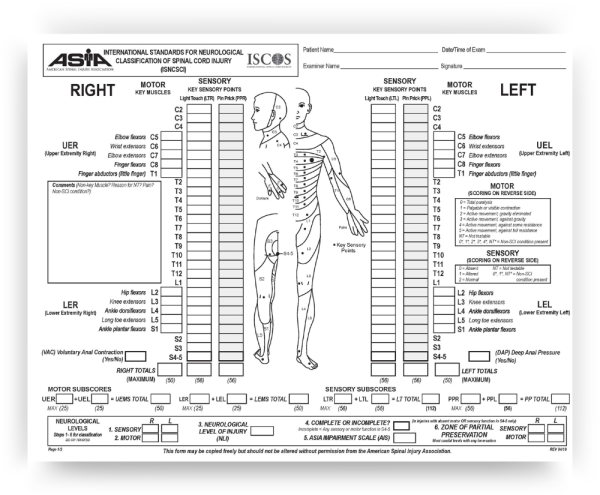 International Standards for Neurological Classification of SCI (ISNCSCI ...