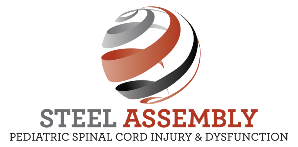 Steel 2024 Logo Trans V American Spinal Injury Association