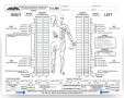 International Standards for Neurological Classification of SCI (ISNCSCI ...