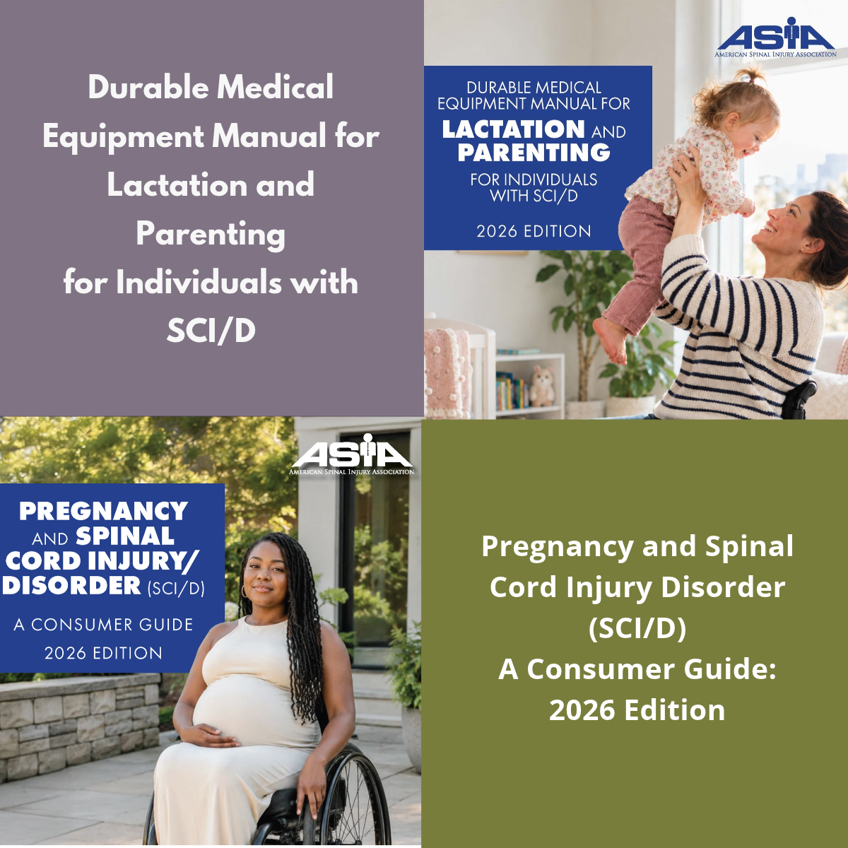 Pregnancy and Lactation/Parenting Guides for People with SCI/D